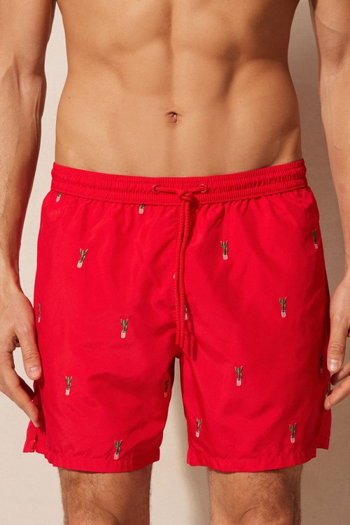 Intimissimi Embroidered Cactus Swim Trunks Červené | 8179542-NA