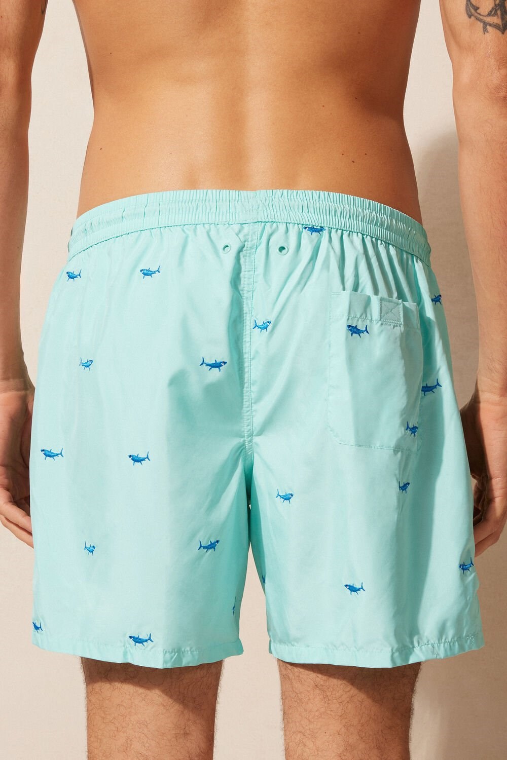 Intimissimi Embroidered Shark Swim Trunks Zelene | 1759640-AY